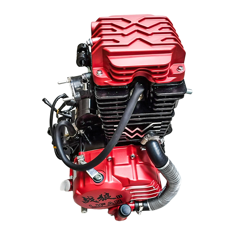 Lifan Zhanlang Water Cooled Engine