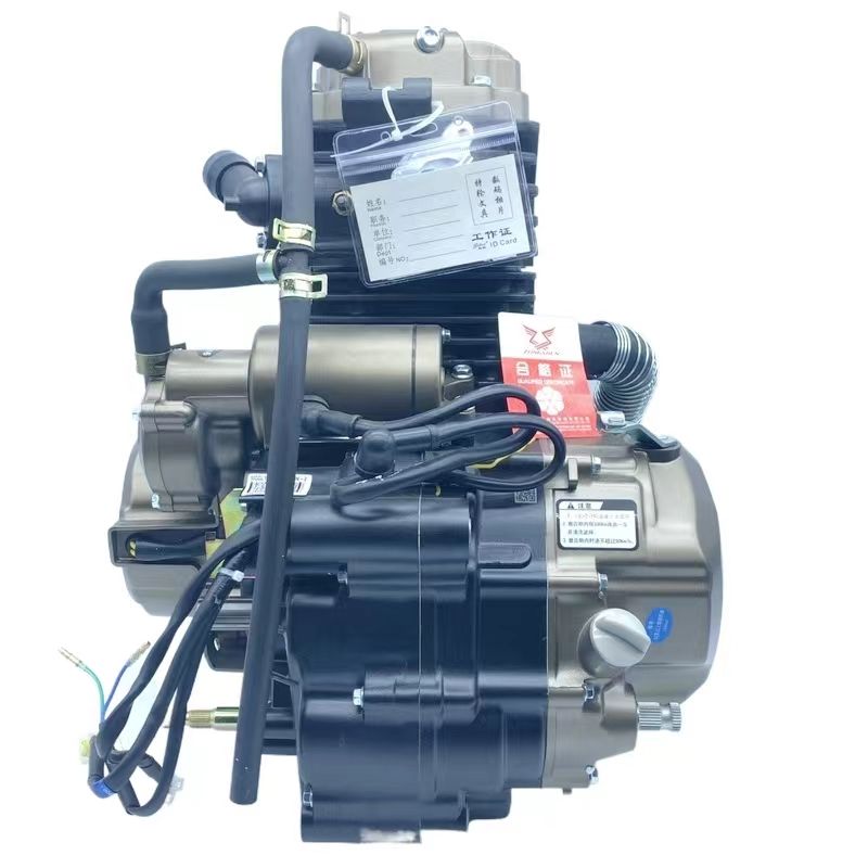 Zongshen Jinzhan 300cc Engine