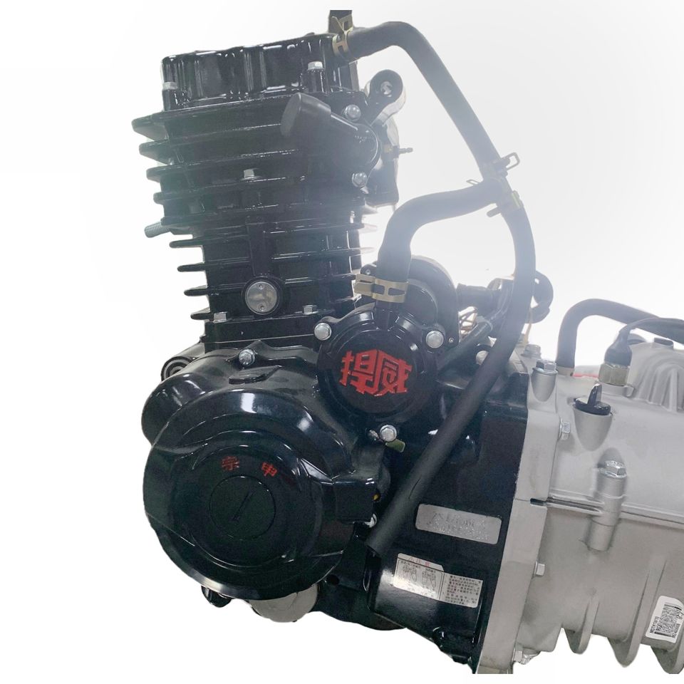 Zongshen 250cc Central Shaft Engine