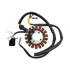 Magneto Coil