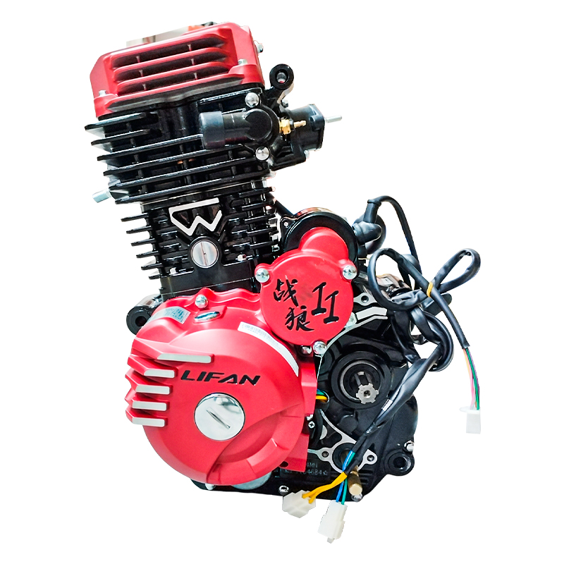 Lifan Zhanlang Water Cooled Engine