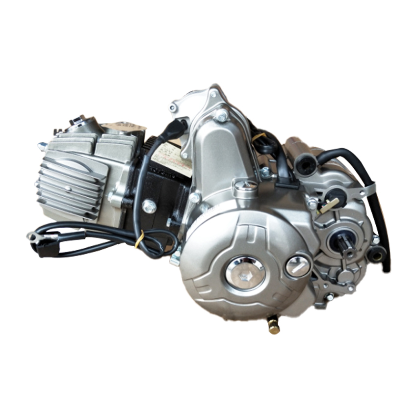 Lifan 110cc Engine