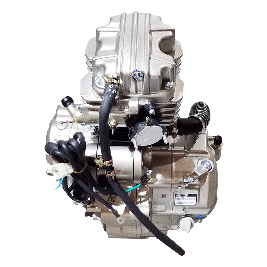 Zongshen Hanwei 250cc Engine