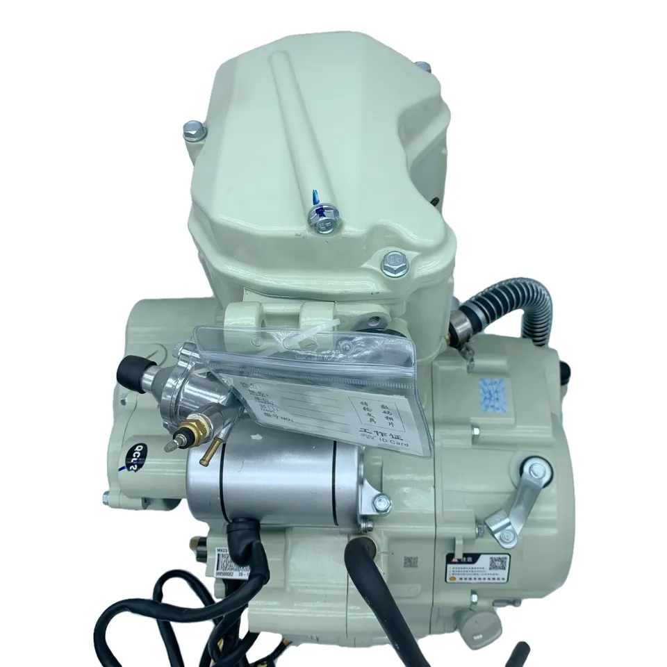 Zongshen Bingwei Engine Water Cooled