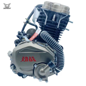 Zongshen Jinzhan 300cc Engine