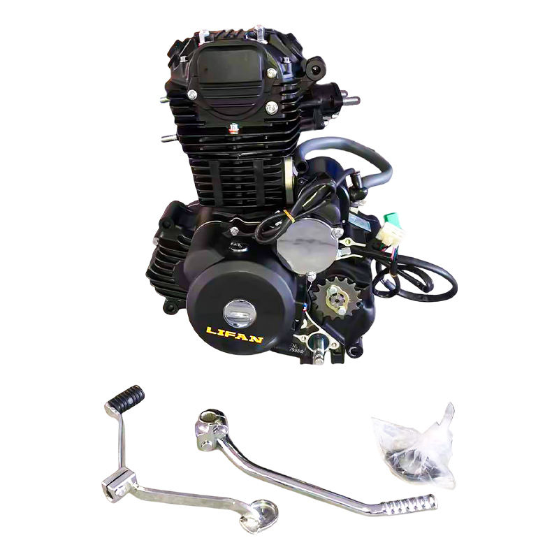 Lifan CBB250cc Engine