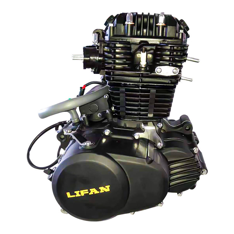 Lifan CBB250cc Engine