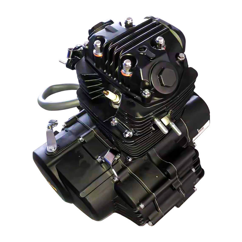 Lifan CBB250cc Engine