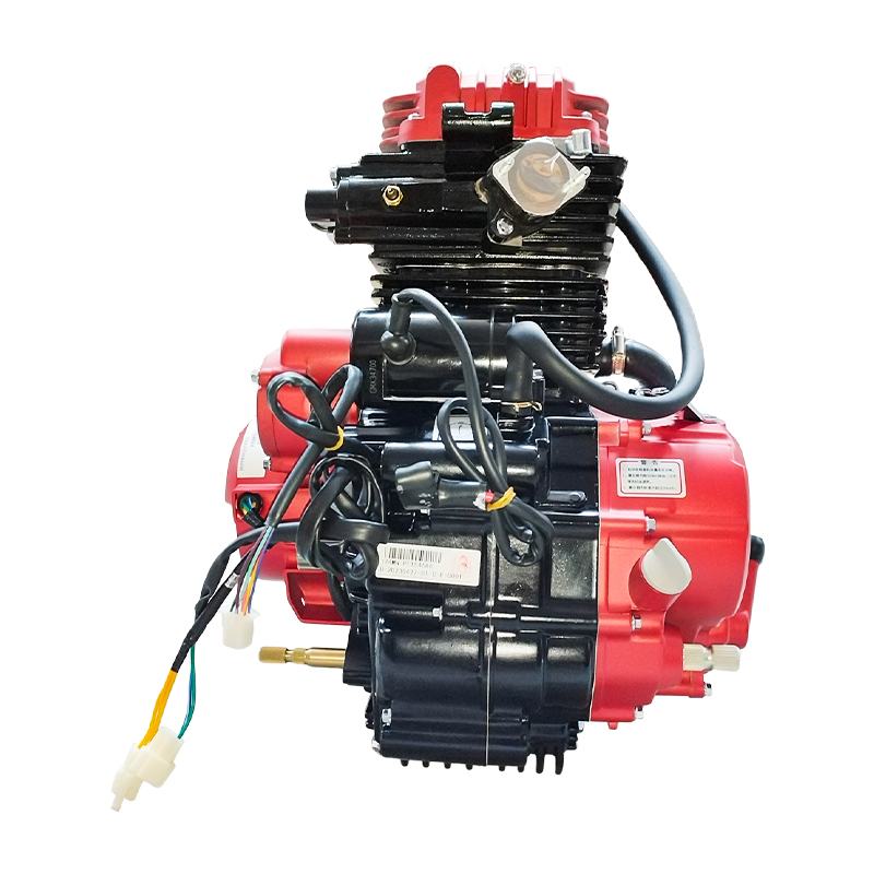 Lifan Zhanlang Water Cooled Engine