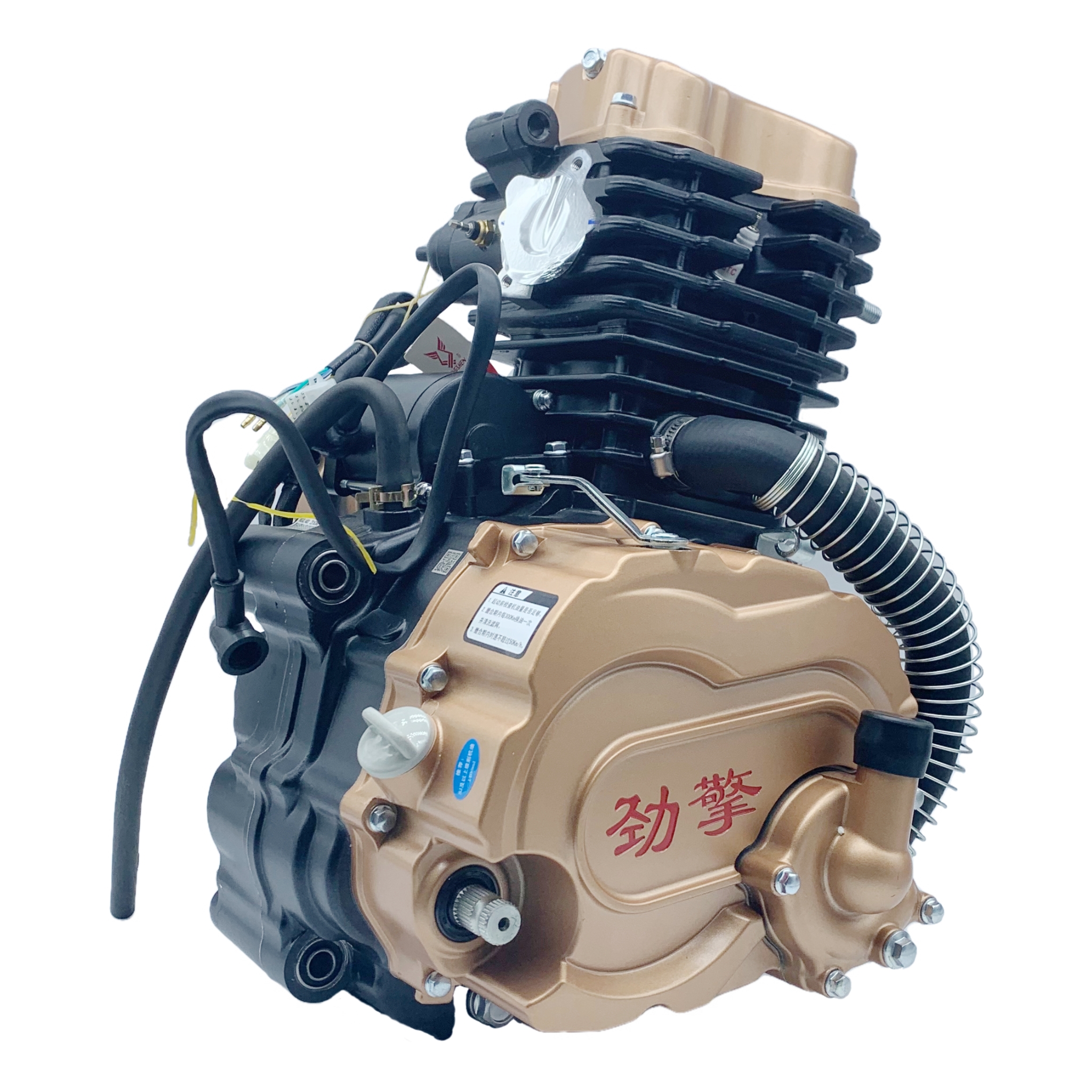 Zonngshen Jingqin 300 Water Cooled Engine